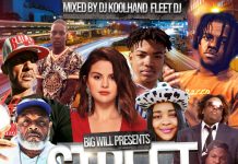 Big Will Drops “Street Cred Pt.29” Mixtape